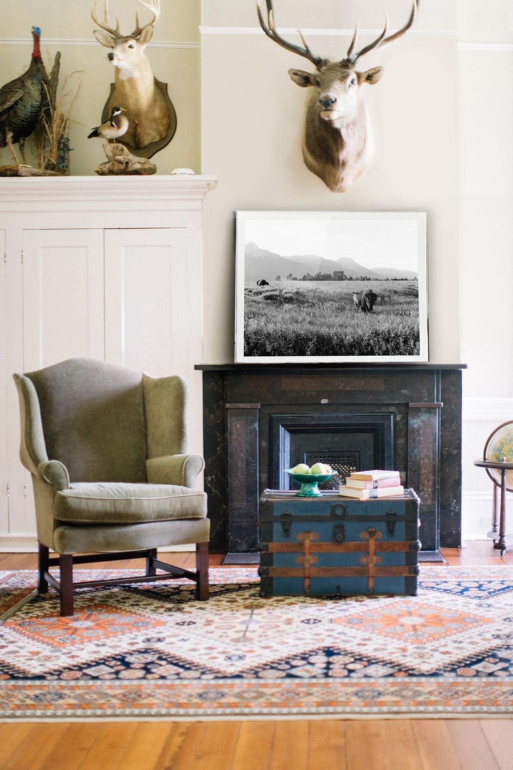 Jackson Hole Fine Art Photography Print - Bison Roaming Tetons Afternoon Sun