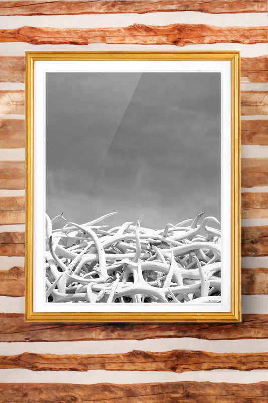 Jackson Hole Fine Art Photography Print - Antler Arch Black & White