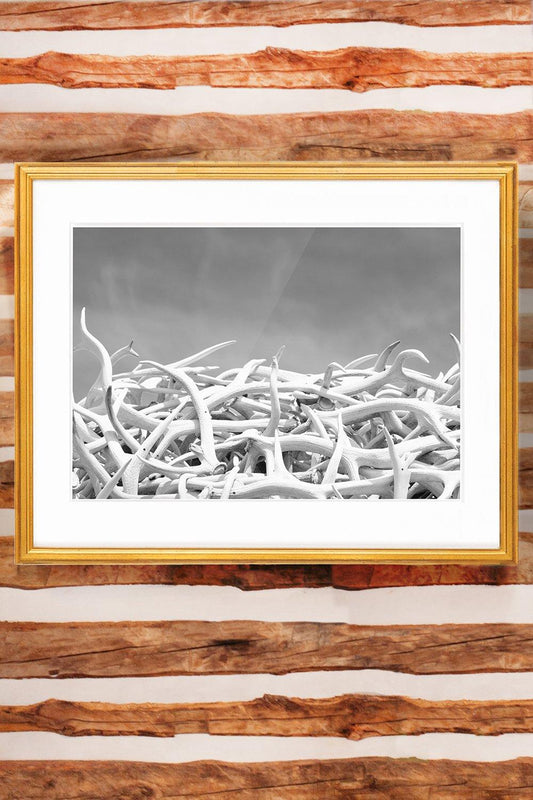 Jackson Hole Fine Art Photography Print - Antler Arch Black & White Horizontal