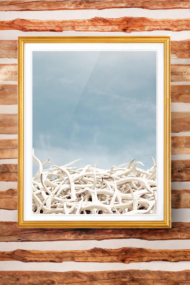 Jackson Hole Fine Art Photography Print - Antler Arch