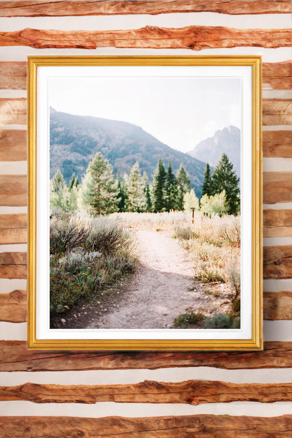 Jackson Hole Fine Art Photography Print - Path to Jenny Lake