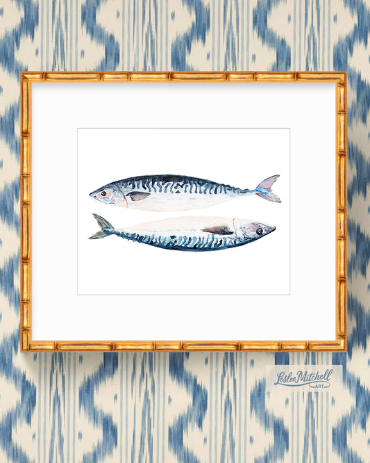 11 x 14" Giclée Print Mackerel Fish