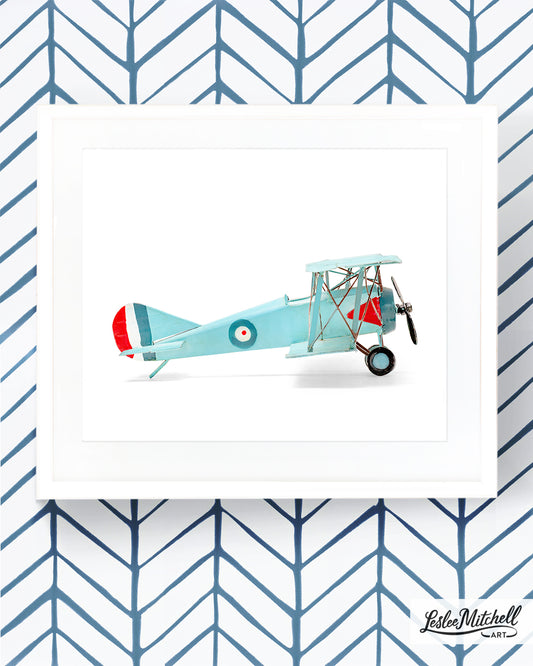 Airplane Series - Powder Blue Biplane Profile 2