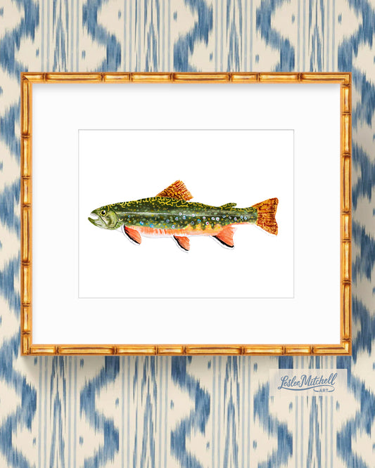 11 x 14" Giclée Print Brook Trout Fish