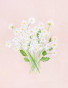 Botanical Chamomile On Pink Unframed 11x14"