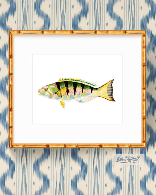 11 x 14" Giclée Print Fish Two