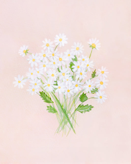 Botanical Chamomile On Pink Unframed 11x14"