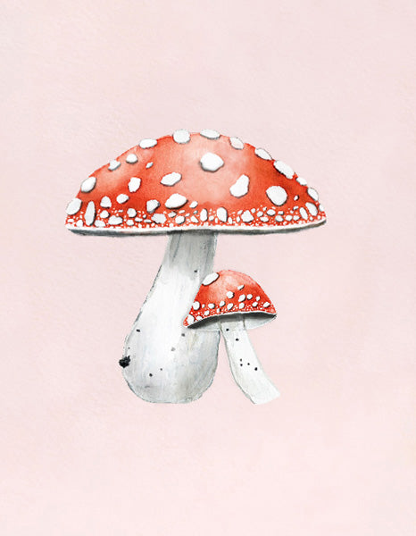 Mushrooms On Pink Unframed 11x14"