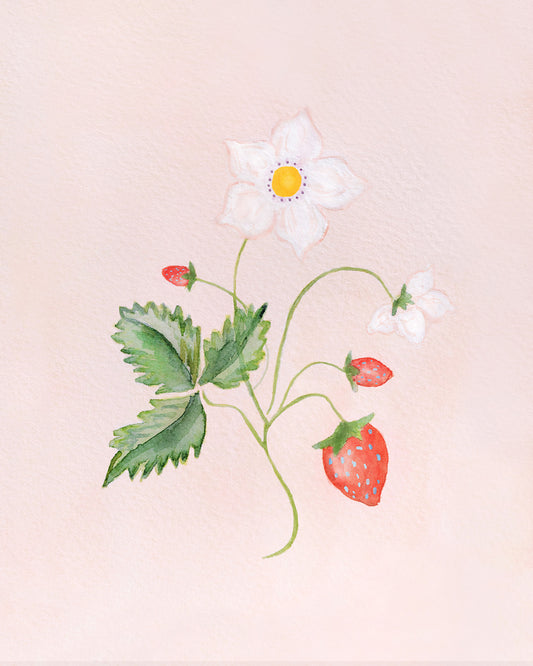 Botanical Strawberry On Pink Unframed 11x14"