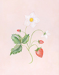 Botanical Strawberry On Pink Unframed 11x14"