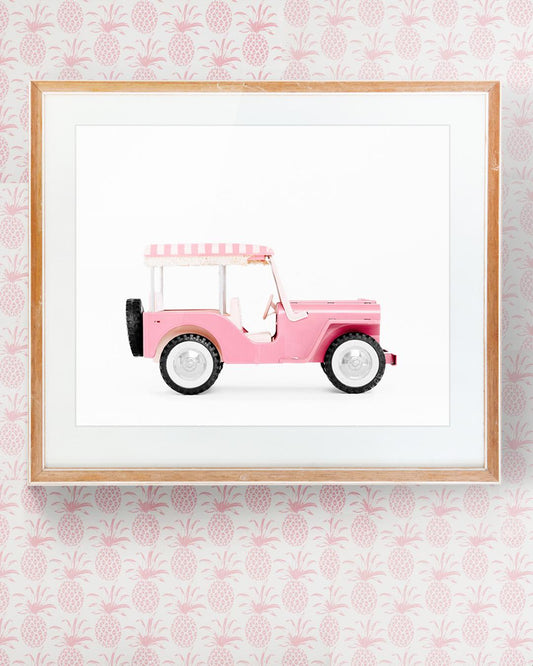 Car Series-Pink White Stripe